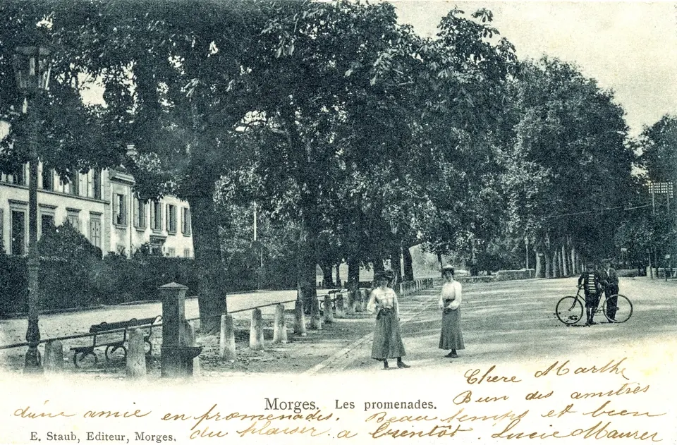 Morges, les Promenades, carte postale de 1904